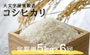 5位! 口コミ数「0件」評価「0」No.1502大文字屋米穀店【定期便6回】コシヒカリ 5kg 精米（6か月連続お届け）