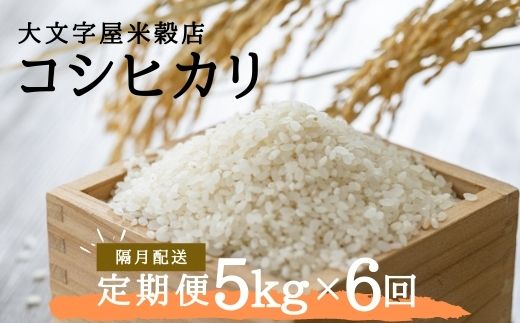 No.1503大文字屋米穀店【定期便6回】コシヒカリ 5kg 精米（隔月でお届け）