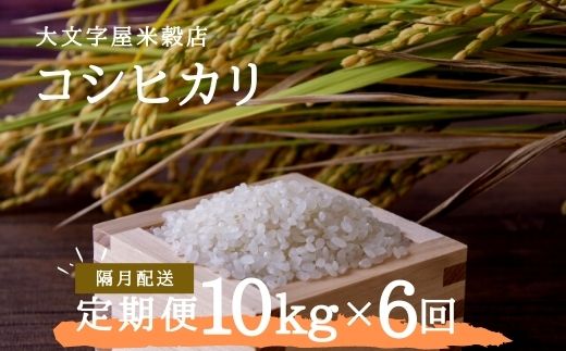 【ふるさと納税】No.1499大文字屋米穀店【定期便6回】コシヒカリ 10kg（5kg×2）精米 （隔月でお届け）