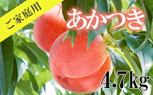 【ふるさと納税】No.2346もも「あかつき」ご家庭用4.7kg【2024年発送】