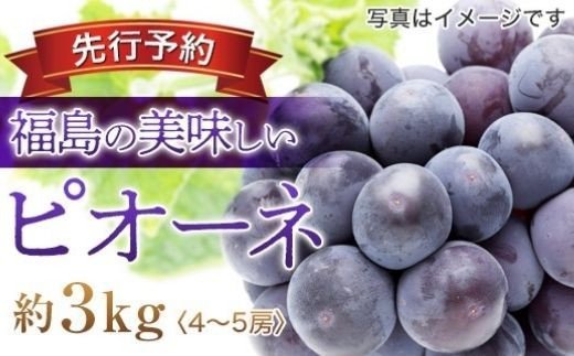 ピオーネは色は濃い紫から紫黒色で粒は非常に大きくて食べ応えがあるブドウです。 果粒は巨峰よりやや大きく、爽快な香気(マスカット)を持ち風味が大変良く、多汁で糖度も16度以上になり強さとそれを支える酸味を持っています。 今、大人気のブドウです。 果皮は剥いて食べれば一段と美味しく食べられます。 ※1箱の中に粒と房の大きさが多少異なって出荷することがありますのでご了承ください。味は変わりません。　 ※ぶどうは非常にデリケートな果物です。細心の注意を払い箱詰めしておりますが、品種の特性上、輸送中の脱粒や裂果も起こるうる事を予めご了承ください。 ※天候等により生育に影響が出る場合、発送予定日が1週間程度前後する場合がございます。 ※天候不順や自然災害等で、色づきや糖度、サイズに影響が出る場合がございます。万が一、発送が困難になった場合は、代替品をお届けいたします。 ※天候や生育状況により日々の収穫量が変わるため、発送予定日の事前連絡は出来ません。 ※玉数・品種をご指定頂く事は出来ません。（玉数・品種指定品を除く） ※画像はイメージです。梱包や詰め方などは、発送事業者により多少異なります。 ※返礼品を発送する際に、自治体からの案内が同封される事がございます。 ※沖縄・離島への発送は出来ません。 ※同日に複数個口お申込みいただきましても、出荷日が異なる場合があります。 【配送先変更・不在連絡について】 ※配送情報に変更が生じた場合（お引越しや長期不在等）のご連絡は、発送開始時期の2週間前までにご連絡ください。発送直前にご連絡をいただいても、変更を承る事ができません。連絡が遅れたことにより配送品の転送を希望する場合は、受取人様ご自身で配送会社へご連絡いただくことになります。（送料は受取人様ご負担） 【返礼品受取時】 ※生鮮品の為、賞味期限に関わらず、なるべくお早めにお召し上がりください。（果物により追熟を要する場合あり） ※到着後すぐに状態をご確認ください。梱包発送時は万全を期しておりますが、稀に輸送中の揺れや温度管理等により傷みが生じる場合がございます。痛み等があった場合は、発送日を含んで4日以内にご連絡ください。ご連絡いただく際は、必ず全体と傷みの箇所を撮影ください。また連絡前に廃棄されますと、対応出来なくなる場合もございます。 ※以下の場合は、再発送はいたしかねます。 ・事前にお申し出のない転居や不在等により配送会社にて再配達ができなかった場合 ・受取人様の都合により、日数が経ってからお受け取りいただいた場合 ・寄付者様と受取人様が異なった際、受取辞退などの理由で発送元に返送となった場合 ・甘さや硬さなど、個人の感覚を理由とする場合 ・ふるさと納税よくある質問はこちら ・寄付申込みのキャンセル、返礼品の変更・返品はできません。 あらかじめご了承ください。　 入金確認後、注文内容確認画面の【注文者情報】に記載の住所にお送りいたします。 発送の時期は、寄付確認後10日以内を目途に、お礼の特産品とは別にお送りいたします。 商品説明 名称 No.1736ぶどう ピオ－ネ 約3kg(4～5房)【2024年発送】 内容量 約3kg（4～5房） 賞味期限 出荷日+5日 発送期間 2024年9月中旬から2024年9月下旬発送予定 発送種別 冷蔵便 事業者 株式会社円和　青果部