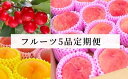 8位! 口コミ数「1件」評価「3」No.1609フルーツ5品定期便 さくらんぼ/もも【2024年発送】