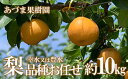 【ふるさと納税】No.1769梨 品種おまかせ (幸水又は豊水)約10kg【2025年発送 先行予約】