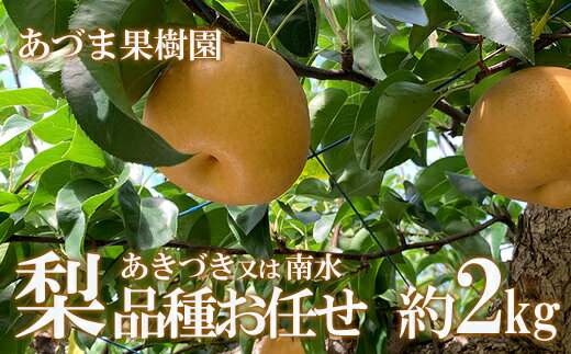 【ふるさと納税】No.1764梨 品種おまかせ (あきづき又は南水)約2kg【2025年発送 先行予約】
