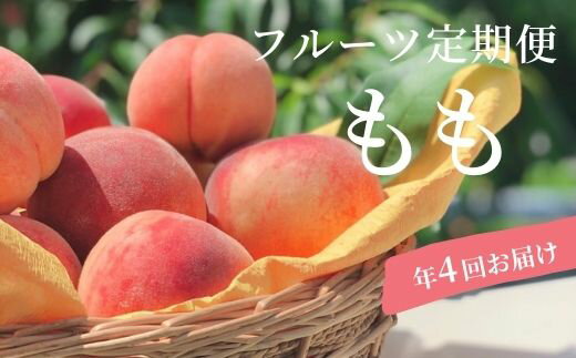 ももをお送りいたします。 【1回目】7月中旬〜8月上旬 あかつき 約2kg/6〜8玉(冷蔵便) 【2回目】8月中旬〜8月下旬 川中島白桃 約2kg/6〜8玉(冷蔵便) 【3回目】8月下旬〜9月上旬 黄貴妃・ゆうぞらセット 約2kg/計6〜8玉(冷蔵便) 【4回目】9月上旬〜9月中旬 さくら白桃 約2kg/6〜8玉(冷蔵便) ※白桃＆黄桃の返礼品について その日の収穫によって白桃と黄桃の入数が変わる場合があります。 内容数が多少前後する場合もありますのであらかじめご了承ください。 ◇返礼品は非常にデリケートな果物です◇ ※桃は、輸送時の痛みを防ぐため、硬めの状態で発送いたします。お受け取り直後は、まだ果実が硬い場合がございます。 　・冷蔵便の場合、箱から出してしっかり水滴をふき取り、風通しの良い日陰に常温保管すると徐々に柔らかくなります。 　・桃の品種によって、色の違いや、追熟の度合いも異なります。 ※天候等により生育に影響が出る場合、発送予定日が1週間程度前後する場合がございます。 ※天候不順や自然災害等で、色づきや糖度、サイズに影響が出る場合がございます。万が一、発送が困難になった場合は、代替品をお届けいたします。 ※天候や生育状況により日々の収穫量が変わるため、発送予定日の事前連絡は出来ません。 ※玉数・品種をご指定頂く事は出来ません。（玉数・品種指定品を除く） ※画像はイメージです。梱包や詰め方などは、発送事業者により多少異なります。 ※返礼品を発送する際に、自治体からの案内が同封される事がございます。 ※沖縄・離島への発送は出来ません。 ※同日に複数個口お申込みいただきましても、出荷日が異なる場合があります。 【配送先変更・不在連絡について】 ※配送情報に変更が生じた場合（お引越しや長期不在等）のご連絡は、発送開始時期の2週間前までにご連絡ください。発送直前にご連絡をいただいても、変更を承る事ができません。連絡が遅れたことにより配送品の転送を希望する場合は、お客様ご自身で配送会社へご連絡いただくことになります。（送料は受取人様ご負担） 【返礼品受取時】 ※生鮮品の為、賞味期限に関わらず、なるべくお早めにお召し上がりください。（果物により追熟を要する場合あり） ※到着後すぐに状態をご確認ください。梱包発送時は万全を期しておりますが、稀に輸送中の揺れや温度管理等により傷みが生じる場合がございます。痛み等があった場合は、発送日を含んで4日以内にご連絡ください。ご連絡いただく際は、必ず全体と傷みの箇所を撮影ください。また連絡前に廃棄されますと、対応出来なくなる場合もございます。 ※以下の場合は、再発送はいたしかねます。 ・事前にお申し出のない転居や不在等により配送会社にて再配達ができなかった場合 ・受取人様の都合により、日数が経ってからお受け取りいただいた場合 ・寄付者様と受取人様が異なった際、受取辞退などの理由で発送元に返送となった場合 ・甘さや硬さなど、個人の感覚を理由とする場合 ・ふるさと納税よくある質問はこちら ・寄付申込みのキャンセル、返礼品の変更・返品はできません。 あらかじめご了承ください。　 入金確認後、注文内容確認画面の【注文者情報】に記載の住所にお送りいたします。 発送の時期は、寄付確認後10日以内を目途に、お礼の特産品とは別にお送りいたします。 商品説明 名称 No.1624もも4種定期便 あかつき/川中島白桃/黄貴妃＆ゆうぞら/さくら白桃 各約2kg【2024年発送】 内容量 【1回目】あかつき 約2kg/6〜8玉 【2回目】川中島白桃 約2kg/6〜8玉 【3回目】黄貴妃・ゆうぞらセット 約2kg/計6〜8玉 【4回目】さくら白桃 約2kg/6〜8玉 賞味期限 発送日+3日※生もの(果物)ですので、できるだけお早めにお召し上がり下さい。 発送種別 冷蔵便 アレルギー もも 事業者 株式会社円和 青果部