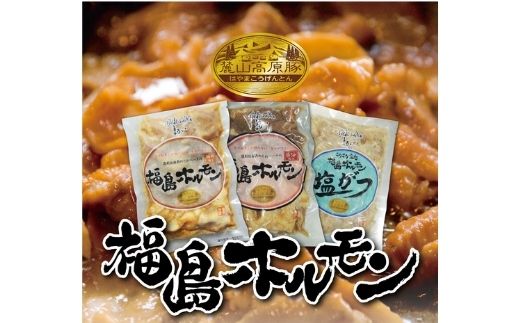 【ふるさと納税】No.1250 ふくしまご当地!福島ホルモン3点セット(醤油、味噌、塩がつ)麓山高原豚使用 【各1パック、計3パック入】