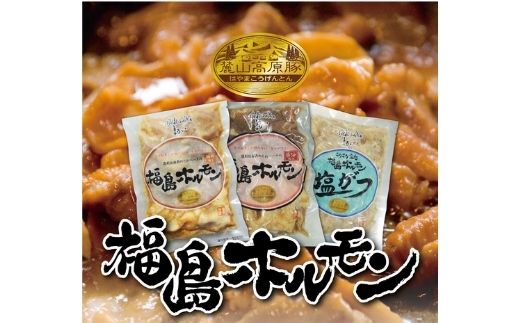 No.1252 ご当地!福島ホルモン3点セット(醤油、味噌、塩がつ)麓山高原豚使用 [各3パック、計9パック入]