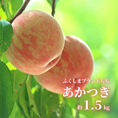 No.2625[限定50箱]ふくしまのもも あかつき 約1.5kg[2024年発送]