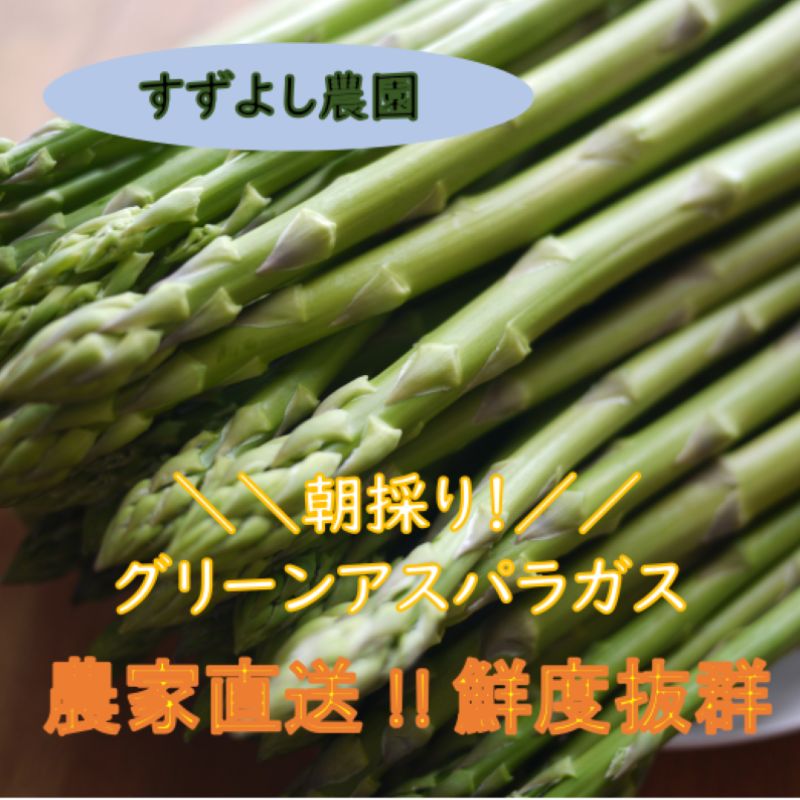 【ふるさと納税】No.0793 アスパラガス 1kg箱入【2025年発送】