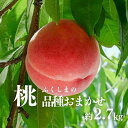 【ふるさと納税】No.2870 もも(品種おまかせ)約2.7kg【2025年発送】