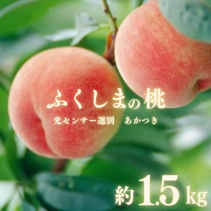 【ふるさと納税】No.2919ふくしまの桃「光センサー選別あかつき」約1.5kg【2025年発送】