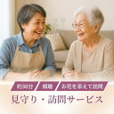 【ふるさと納税】No.3077 見守り・訪問サービス~はなぞう~