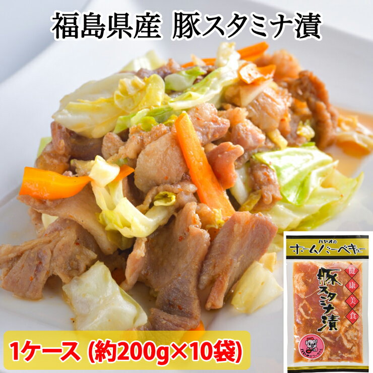 福島県産 豚スタミナ漬|会津若松 国産 豚肉 おかず タレ味 [0095]