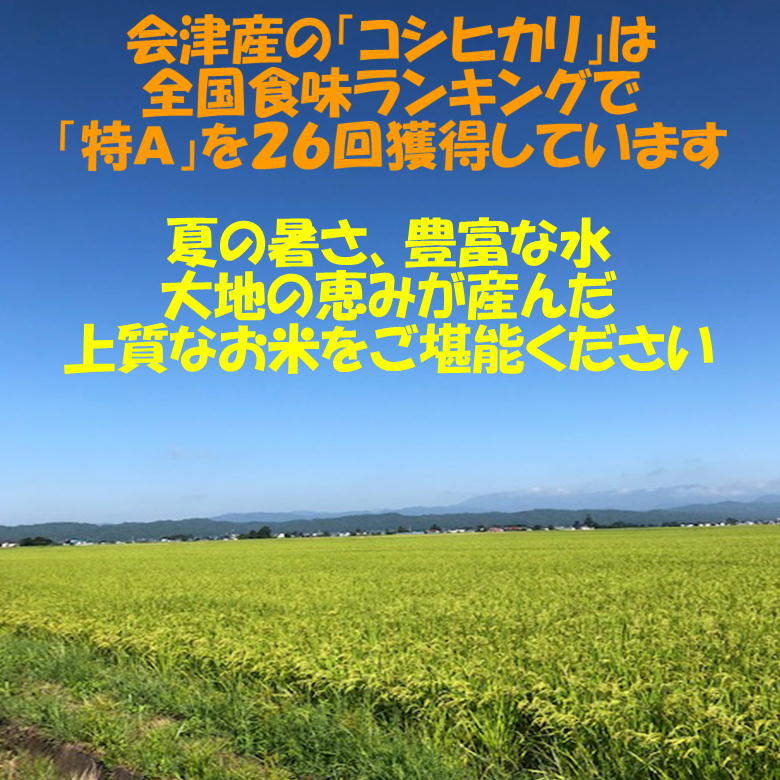 【ふるさと納税】二瓶商店の会津若松市産コシヒカリ 白米 10kg｜令和5年 会津産 米 白飯 お米 2023年 こしひかり [0297]