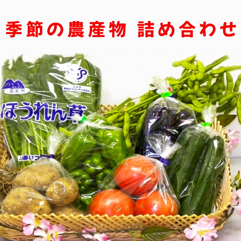 季節の農産物詰め合わせ｜産直 農産物 季節の野菜 