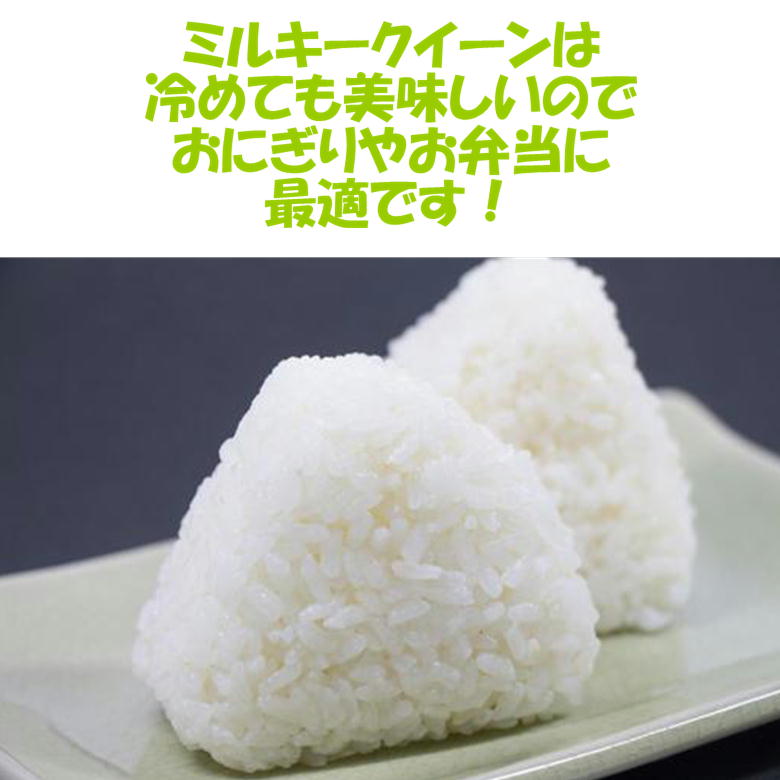 【ふるさと納税】二瓶商店の会津産 ミルキークイーン 玄米 5kg×2袋｜令和5年産 会津産 米 お米 [0203]