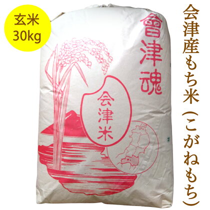 会津産もち米 (こがねもち) 玄米30kg｜令和5年産 会津若松市 もちごめ ごはん [0282]