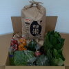 【ふるさと納税】会津コシヒカリ15kg（精米）と季節の野菜セット