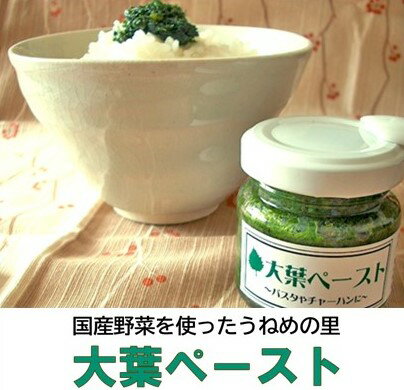 【ふるさと納税】国産野菜を使ったうねめの里 大葉ペースト 惣菜 【ふるさと納税】国産野菜を使ったうねめの里 大葉ペースト 惣菜