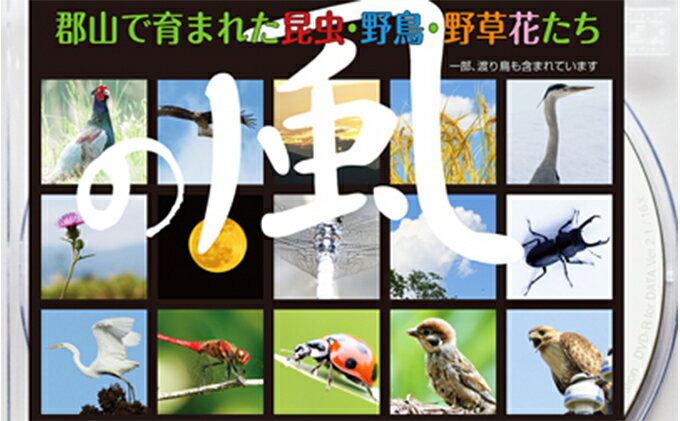 【ふるさと納税】デジタル写真素材 「の風」 本 DVD