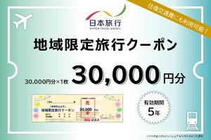 【ふるさと納税】日本旅行　地域限定旅行クーポン【30，000円分】　【旅行・チケット・旅行・宿泊券】