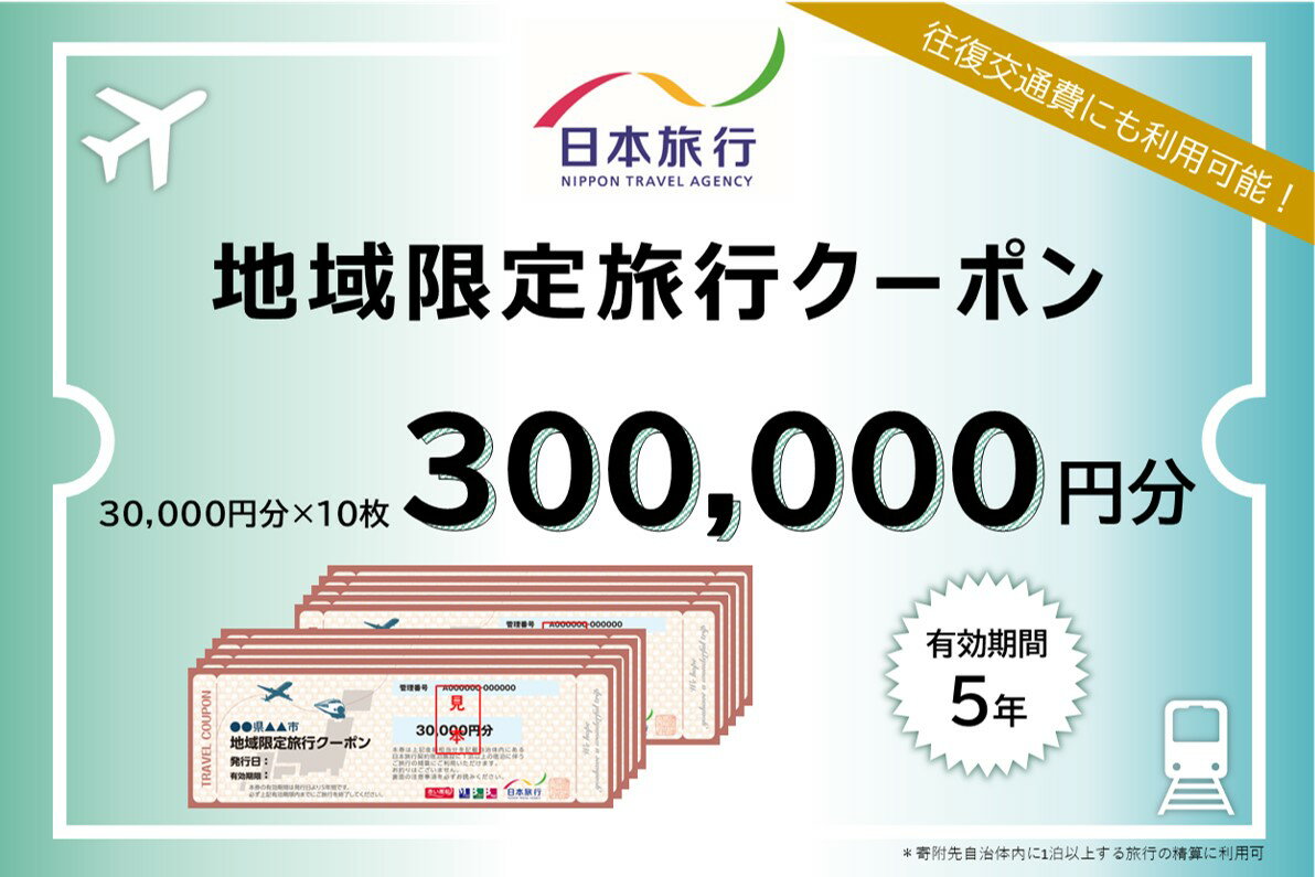 【ふるさと納税】日本旅行　地域限定旅行クーポン【300，000円分】　【旅行・チケット・旅行・宿泊券】その2