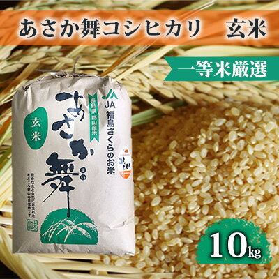 【令和5年産】 あさか舞コシヒカリ（玄米） 10kg　【お米・コシヒカリ・玄米・令和3年産・あさか舞・10kg】　お届け：2023年11月中旬頃～2024年9月下旬頃まで