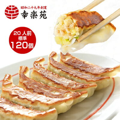 【ふるさと納税】幸楽苑 冷凍餃子【極】標準120個入り　【 加工品 惣菜 豚肉 冷凍 幸楽苑 冷凍餃子 120個 最高級 小麦 厳選 国産キャベツ 秘伝レシピ 美味しい 】のサムネイル