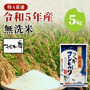 【ふるさと納税】令和5年産 福島県産 あさか舞コシヒカリ 無洗米 5kg 【 お米 白米 ライス ご飯 ブランド米 銘柄米 お弁当 おにぎり 1等米 特A 産地直送 主食 炭水化物 】 お届け：2023年11月上旬頃から順次発送予定