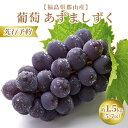 【ふるさと納税】【先行予約】【福島県郡山産】葡萄 あずましずく 約1.5kg以上(5~7房) 果物 フルーツ デザート 食後 おやつ 高糖度 贈答用 国産 ギフト 贈り物 お届け:2025年8月下旬~9月中旬