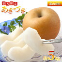 【ふるさと納税】【楽天限定】あきづき 約5kg 梨 なし フルーツ 果物 デザート 旬 ナシ やわらかい 酸味少なめ 産地直送 常温 若林果樹園 福島県 郡山市 お届け:2025年9月10日~9月30日まで