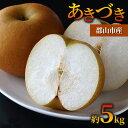 【ふるさと納税】梨 あきづき 約5kg 果物 なし くだもの フルーツ 旬 ナシ 産地直送 国産 家庭用 贈答用 人気 グルメ お取り寄せ ジューシー 果汁 みずみずしい 果実 デザート 福島県 郡山市 お届け:2025年9月1日~9月15日