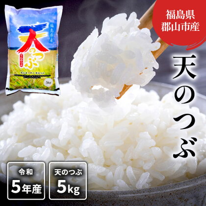 【令和5年産】天のつぶ(白米) 5kg　【 米 お米 こめ コメ 精米 白米 天のつぶ 5kg 令和5年 福島 】　お届け：2023年11月中旬～2024年8月下旬