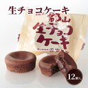 【ふるさと納税】生チョコケーキ12個入(4)
