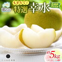 【ふるさと納税】特選 幸水 約5kg 大玉 9~13個 なし 梨 ナシ もぎたて 甘い 旬 果物 GAP 認証 産地直送 贈り物 贈答用 送料無料 上の山 彩果園 福島県 郡山市 お届け:2025年8月20日~9月12日