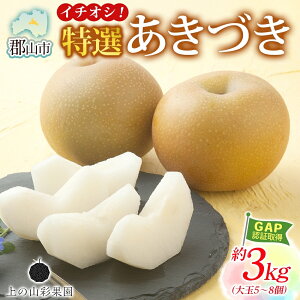 【ふるさと納税】特選 あきづき 約3kg 大玉 5~8個 なし 梨 ナシ もぎたて 甘い 旬 果物 GAP 認証 産地直送 贈り物 贈答用 送料無料 上の山 彩果園 福島県 郡山市 お届け:2025年9月15日~10月5日