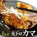 【ふるさと納税】南マグロ大トロカマ1kg