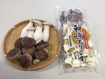 【ふるさと納税】小川きのこ園　生椎茸・エリンギセット