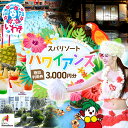 【ふるさと納税】スパリゾート ハワイアンズ 選べる 施設利用券 3,000円分 or 30,000円分(3,000円分×10枚) チケット 利用チケット 入場券...