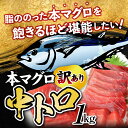 福島県いわき市の画像3