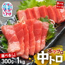 【ふるさと納税】 本マグロ 中トロ 選べる 300g 1kg 定期便 解凍レシピ付 真空包装 個包装 | まぐろ 鮪 本まぐろ 本鮪 刺身 トロ
