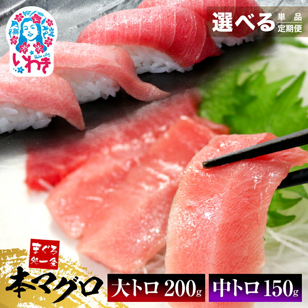 【ふるさと納税】 本マグロ 大トロ 中トロ セット 350g 選べる 定期便 解凍レシピ付 1サクずつ 真空包装 | まぐろ マグロ 鮪 食べ比べ 部位 刺身 ...