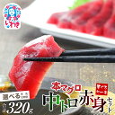 【ふるさと納税】 本マグロ 中トロ 赤身 セット 320g 選べる 定期便 解凍レシピ付 1サクずつ 真空包装 | まぐろ 鮪 マグロ 刺身