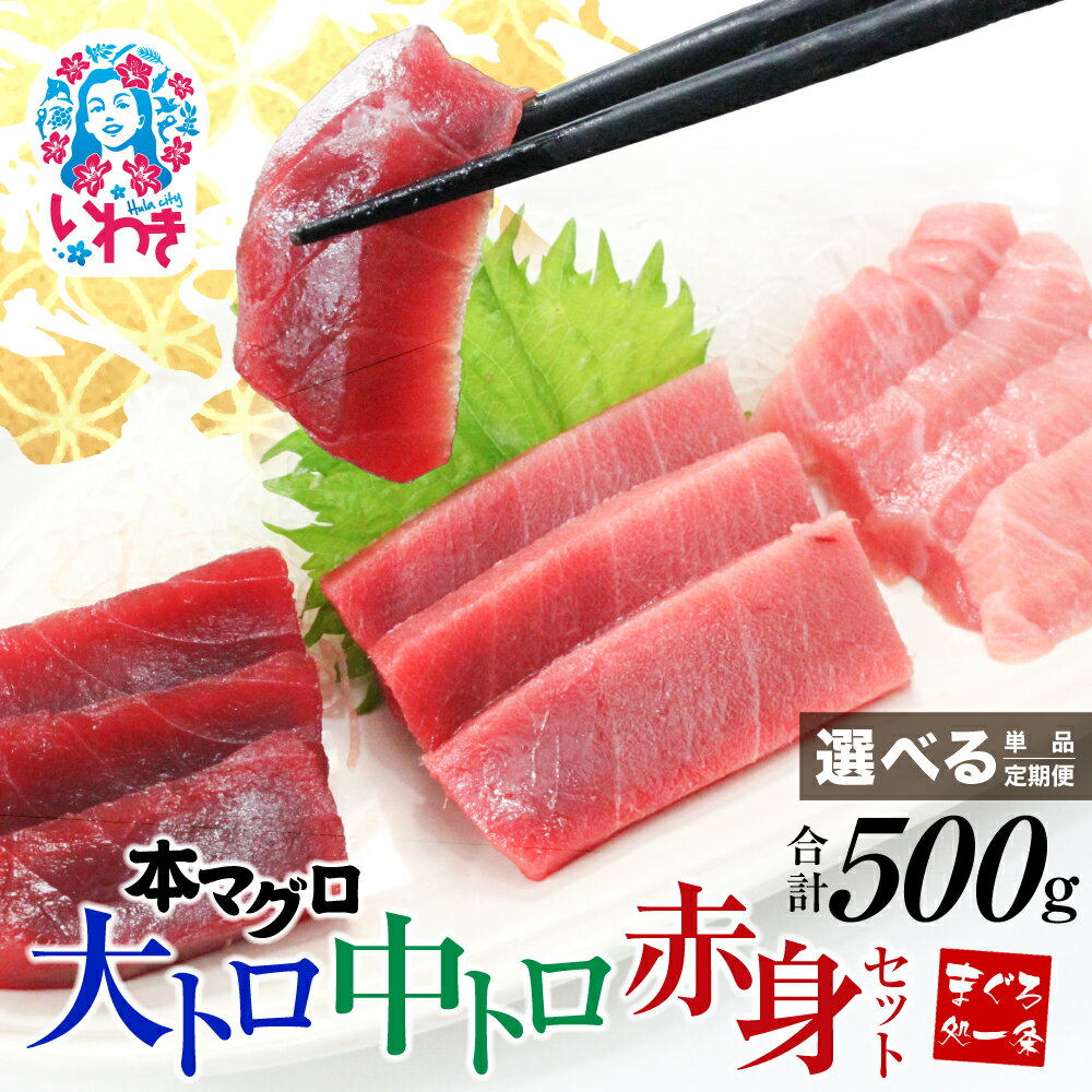 【ふるさと納税】 本マグロ 大トロ 中トロ 赤身 セット 500g 選べる 回数 定期便 解凍レシピ付 1サクずつ 真空包装 | マグロ 鮪 まぐろ トロ 刺身...