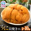 【ふるさと納税】いわき うに 貝焼き 選べる個数 2個 3個 5個 8個 10個 入 160g 〜 800g ( 1個 80g ) ウニ貝焼き ウニの貝焼き 馬目商店 福島 いわき加工 ムラサキウニ ホッキガイ 貝殻 蒸し焼き 徳川家の献上品といわれた 特産品 焼きうに 24,000円