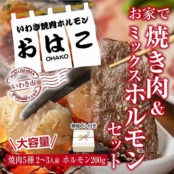 ギフト用[無地熨斗][味付き焼肉セット]&[新鮮ホルモン]食べ比べセット!容量800g入り!