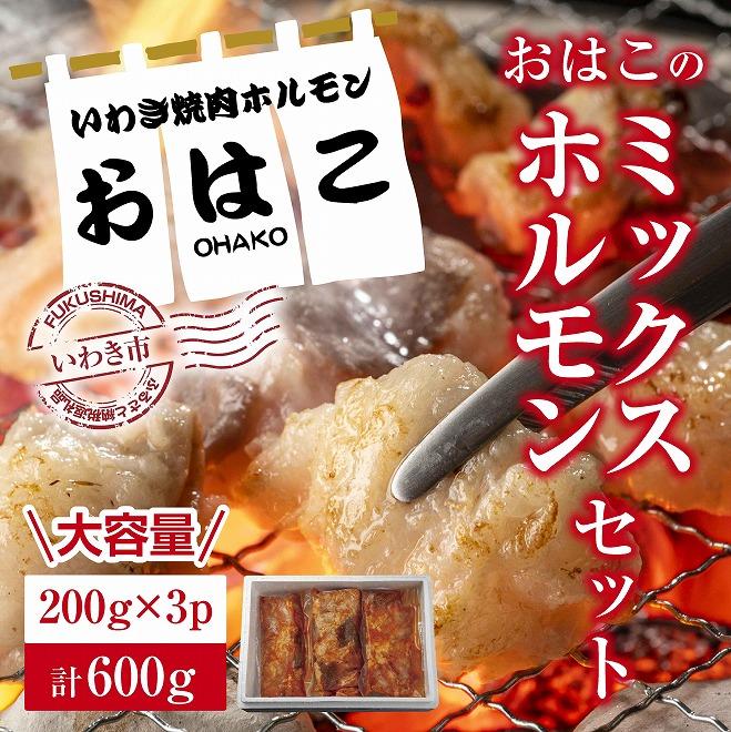 【ふるさと納税】【新鮮ホルモン焼肉】焼肉専門店よりお届け　本格ホルモンをご自宅で！　ミックスホルモンセット600g！