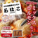 【ふるさと納税】【新鮮ホルモン焼肉】焼肉専門店よりお届け　本格ホルモンをご自宅で！　ミックスホルモンセット600g！