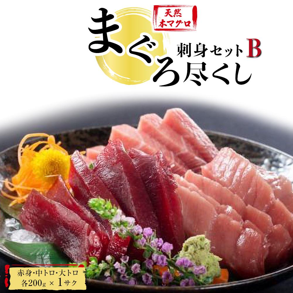 【ふるさと納税】まぐろ 尽くし 刺身 セットB (約15人前) 天然 本まぐろ 大トロ・中トロ・赤身 マグロ お刺身 鮮魚 魚介 魚