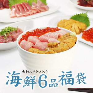 【ふるさと納税】豪華海鮮6品福袋